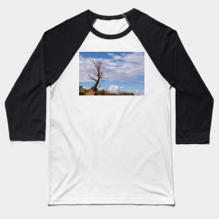 Bare tree Baseball T-Shirt